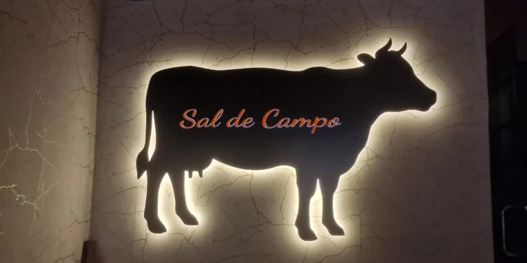 Sal de Campo identidad luminosa