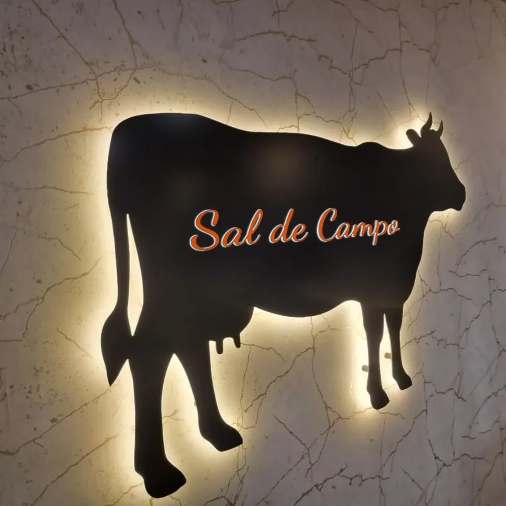 Sal de Campo identidad luminosa